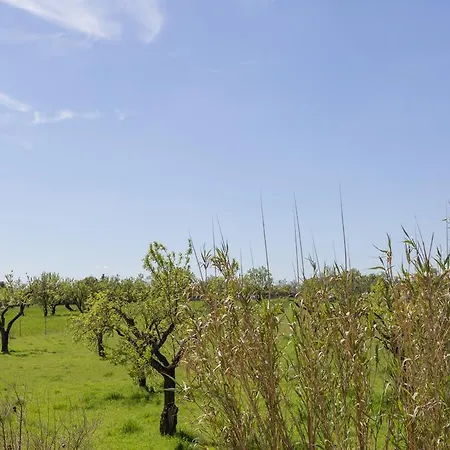 Finca Can Diego