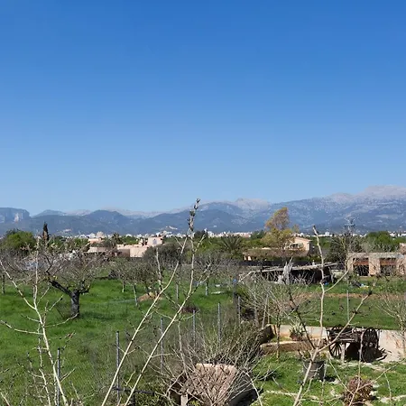 Finca Can Diego * Inca (Mallorca)